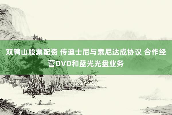 双鸭山股票配资 传迪士尼与索尼达成协议 合作经营DVD和蓝光光盘业务