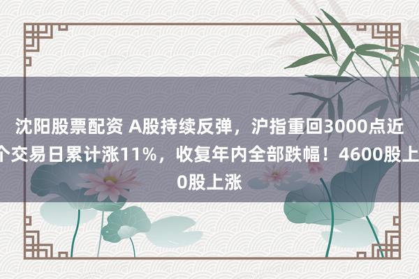 沈阳股票配资 A股持续反弹，沪指重回3000点近8个交易日累计涨11%，收复年内全部跌幅！4600股上涨