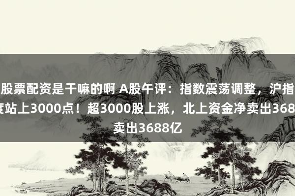 股票配资是干嘛的啊 A股午评：指数震荡调整，沪指一度站上3000点！超3000股上涨，北上资金净卖出3688亿